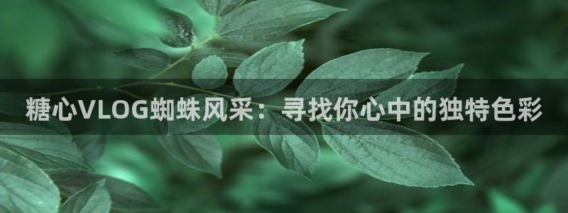 心糖vlog下载:糖心VLOG蜘蛛风采: