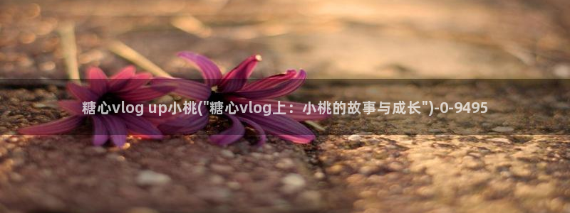 糖心vlog官网色污:糖心vlog up